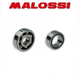 6615670 SERIE CUSCINETTI MALOSSI D. 25 - 17 PER ALBERO...