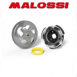 5217911 KIT FRIZIONE E CAMPANA MALOSSI D. 135 HONDA FORZA...