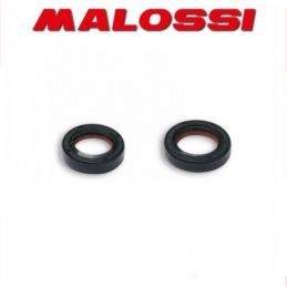 6615256 KIT PARAOLIO MOTORE MALOSSI PIAGGIO NTT 50 2T LC...