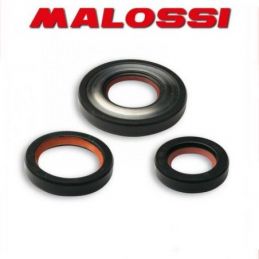 6615751 KIT PARAOLIO MOTORE MALOSSI VESPA PK 125 FKM/PTFE -