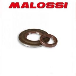 6617236 KIT PARAOLIO MOTORE MALOSSI VESPA COSA 200 2T...