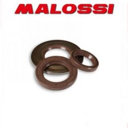 6617310 KIT PARAOLIO MOTORE MALOSSI VESPA PX E 200 2T...