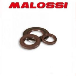 6618069 KIT PARAOLIO MOTORE MALOSSI VESPA COSA 200 2T...