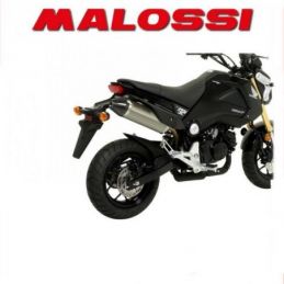 3216365.K0 MARMITTA MALOSSI GP MHR REPLICA HONDA GROM...