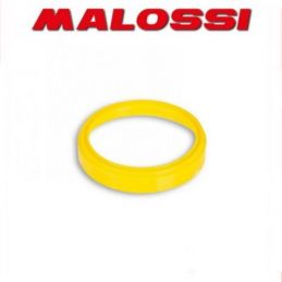 2513210 GUIDA MOLLA VARIATORE TORSION CONTROLLER MALOSSI...