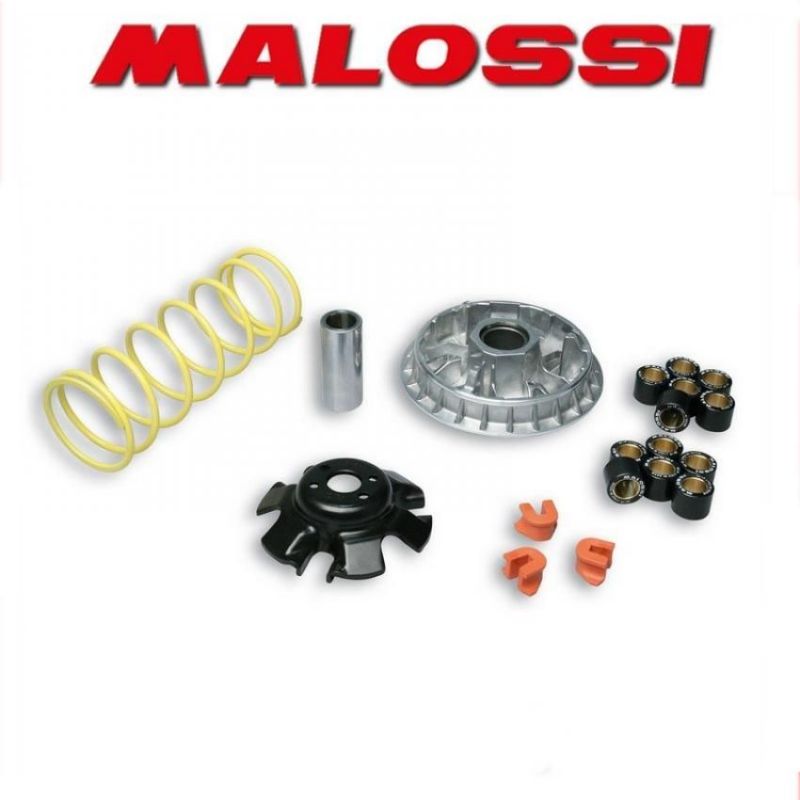 Access Variatore MALOSSI Multivar ACCESS MOTOR SPORT 300 4T LC 