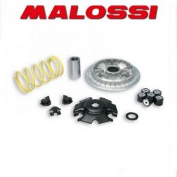 5117099 VARIATORE MALOSSI YAMAHA N MAX 155 IE 4T LC EURO...