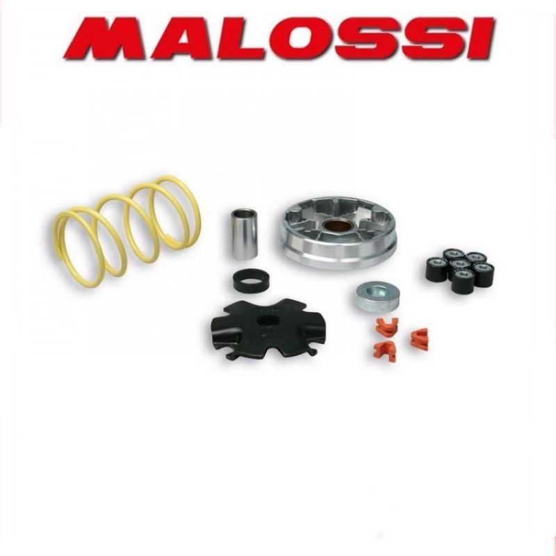 Malossi 5111812 variatore MULTIVAR 2000 Honda Silver Wing 600 