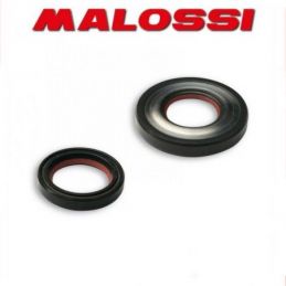 6618072 KIT PARAOLI ALBERO MOTORE MALOSSI VESPA PK XL 125...