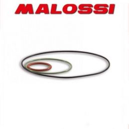 1111736 MALOSSI Busta O-RING D. 40 - 47.6 per gruppo...