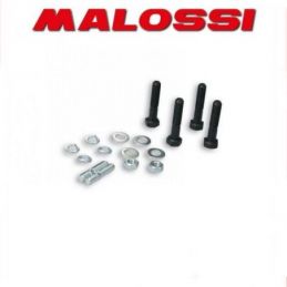 195468 MALOSSI Complessivo bulloneria per Vespa SP