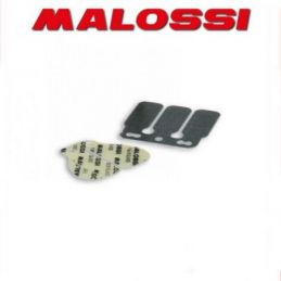 273582 MALOSSI Complessivo lamelle per cilindro