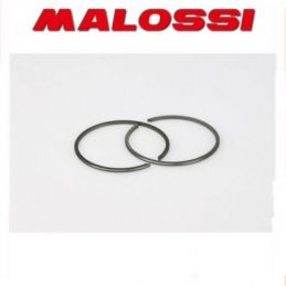 355268 MALOSSI 2 segmenti D. 43.2x1.5 rettangolari