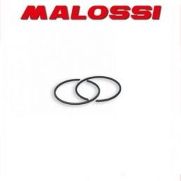 356218 MALOSSI 2 segmenti D. 46.5x1.5 rettangolari