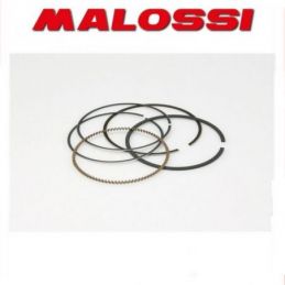 359691 MALOSSI Segmento D. 47.8x1.5 rettangolare