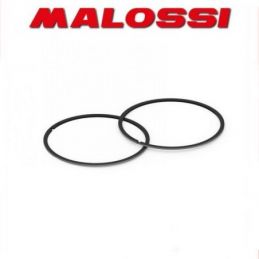 3518104 MALOSSI 2 segmenti D. 58.3x1.5 rettangolari in...