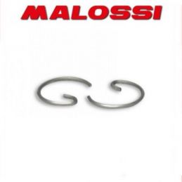 361806 MALOSSI Fermo spinotto D. 12x1 a G