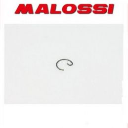 366941 MALOSSI Fermo spinotto D. 10x0.8 a G