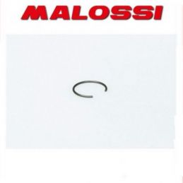 3611263 MALOSSI Fermo spinotto D. 14x1 a C
