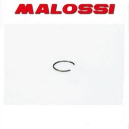 3611632 MALOSSI Fermo spinotto D. 13x1 a C