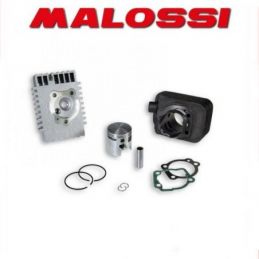 3118573 GRUPPO TERMICO MALOSSI D.46.5 PIAGGIO BOSS BRAVO...