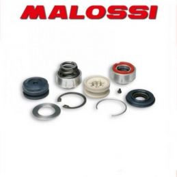 2015149B KIT REVISIONE AMMORTIZZATORE MALOSSI RS24 468298...