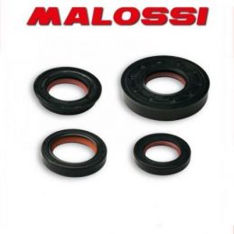 6619160 KIT PARAOLIO MOTORE MALOSSI MALAGUTI F15 FIREFOX...