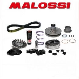 6118836 GRUPPO TRASMISSIONE OVER RANGE MALOSSI PIAGGIO...