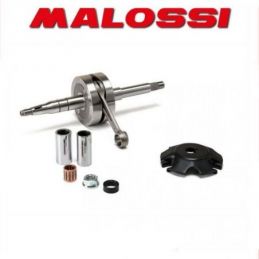 5318440 ALBERO MOTORE MALOSSI SP.13 BIELLA 90 CORSA 42.3...