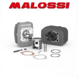 3118735 GRUPPO TERMICO MALOSSI D.46.5 SP.12 GHISA PIAGGIO...