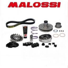 6118835 GRUPPO TRASMISSIONE OVER RANGE MALOSSI APRILIA SR...