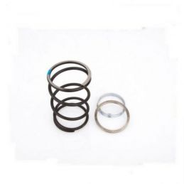 10412023 SPRING SLIDER PINASCO APRILIA LEONARDO 250