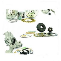 26483131 KIT CARTER MOTORE COMPLETO PINASCO MASTER 251CC...