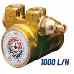 Pompa a palette ottone 1000 l/h