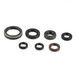 P400485400039 SERIE PARAOLIO MOTORE ATHENA YAMAHA WR 250...