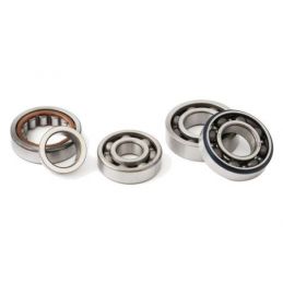 SKF.62206 CUSCINETTO ALBERO KTM 250 EXC (98-03) DESTRO