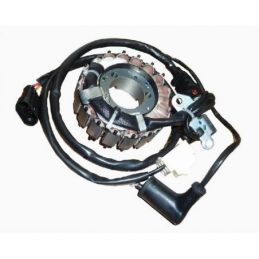 642054 STATORE COMPLETO ORIGINALE PIAGGIO MP3 300 IE E4...