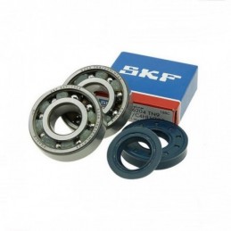 S6-80366C4/TN9 SET CUSCINETTI SKF C4 gabbia in teflon +...