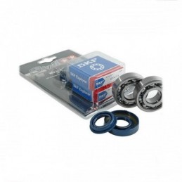 S6-80366C4/MET SET CUSCINETTI SKF C4 gabbia in metallo +...