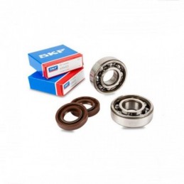 S6-80325C3/MET SET CUSCINETTI SKF C3 ALTA VEL. GABBIA...