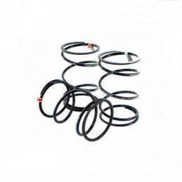 S6-5217503 MOLLA DI CONTRASTO STAGE6 SPORT PRO STRONG X...