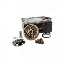 S6-5816601 VARIATORE STAGE6  SPORT PRO D.16 ITALJET PISTA...