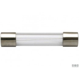 2167210 FUSIBILE VETRO 10A Fusibili in Vetro 6.3x32 mm