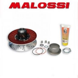 6114582 CORRETTORE DI COPPIA MALOSSI REAR PULLEY SYSTEM...