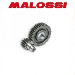 6711860 INGRANAGGI SECONDARI MALOSSI APRILIA ATLANTIC 200...