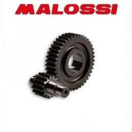 6712067 INGRANAGGI SECONDARI MALOSSI APRILIA ATLANTIC -...