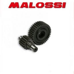 679974 MALOSSI APRILIA LEONARDO 250 4T LC INGRANAGGI...