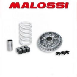 5111808 VARIATORE MALOSSI GILERA NEXUS 500 IE 4T LC EURO...