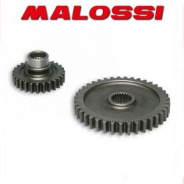 6714418 SERIE INGRANAGGI RAPPORTI MALOSSI SPORT Z 26 / 40...