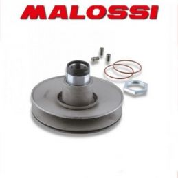 6112110 KIT CORRETTORI DI COPPIA MALOSSI PIAGGIO NRG 50...